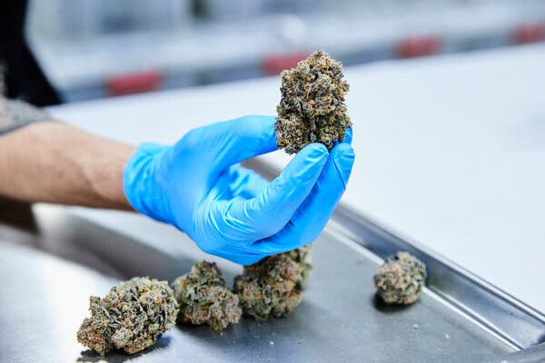 “Popular products run out and prices are still higher than we’d like to see them,” said Jeff Brown, executive director of New Jersey’s Cannabis Regulatory Commission.