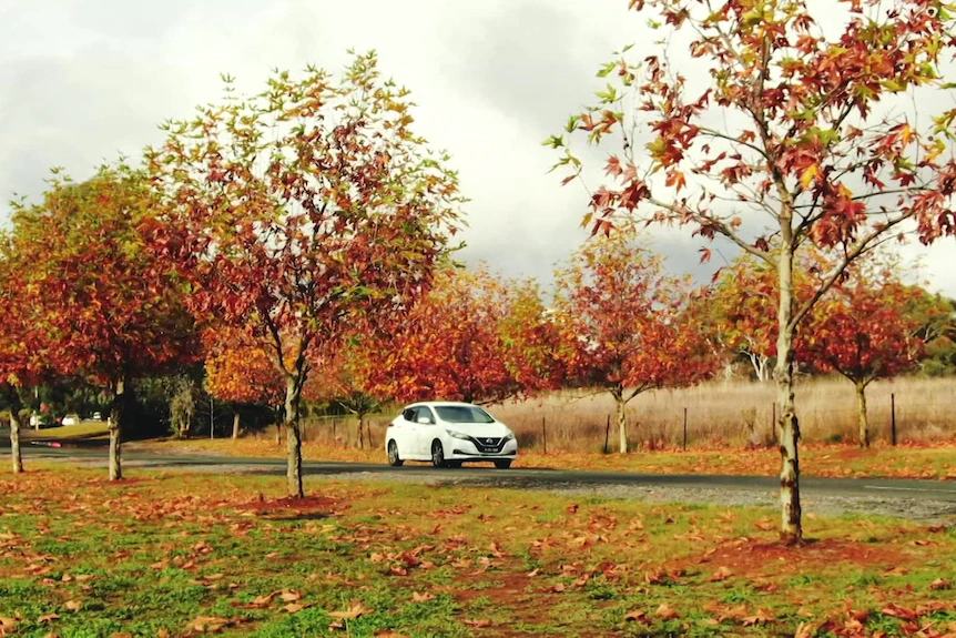 A car drives along a country road surrounded by grass and trees with Autumn leaves