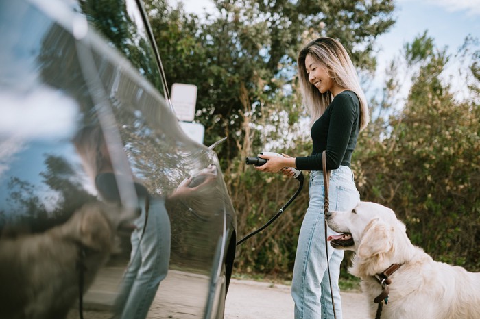 A driver charges an electric car while a dog watches patiently.