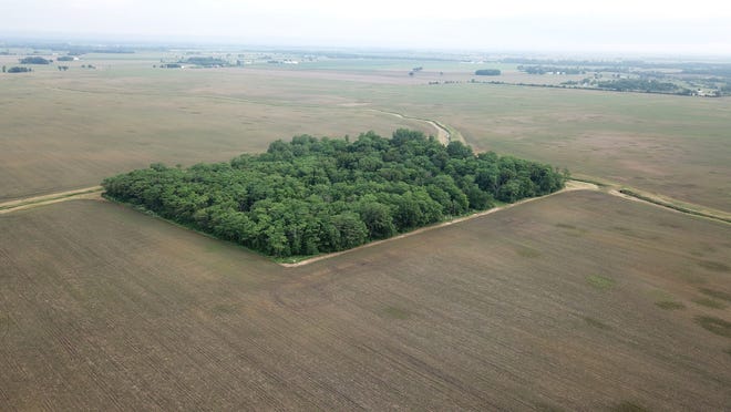 A stand of trees remains in the middle of Madison County farmland owned by Microsoft founder Bill Gates that might become part of a solar farm. Nearby Delaware County, however, is looking to take advantage of a new Ohio law to limit solar projects.